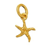 Charm Giovanni Raspini Donna in Argento 08565 - 08565